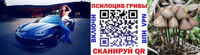 блэк спрут зеркало  Егорьевск  Галлюциногенные грибы GOLDEN TEACHER 